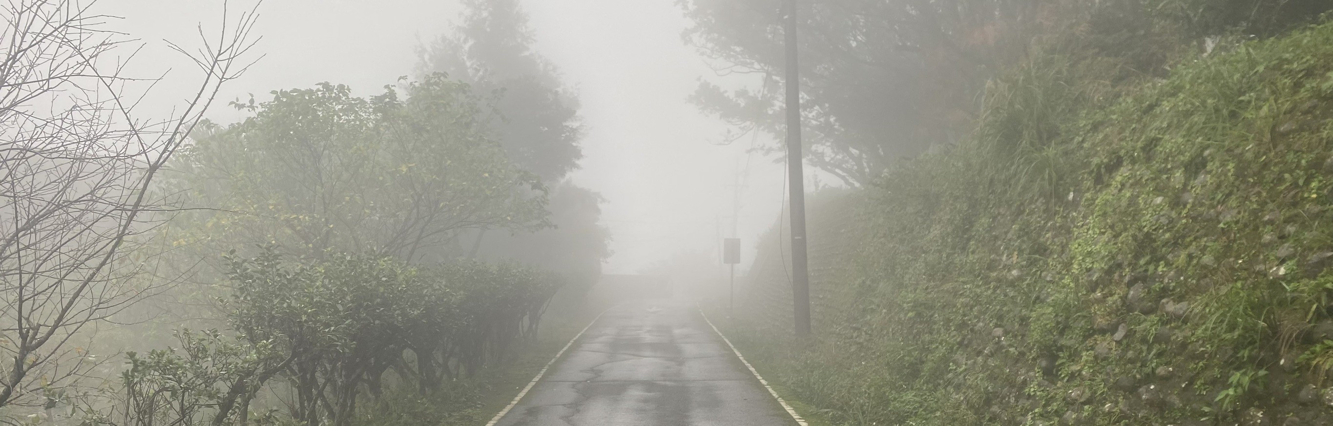 霧